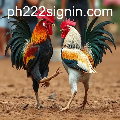 Exploring the Controversial World of Cockfighting